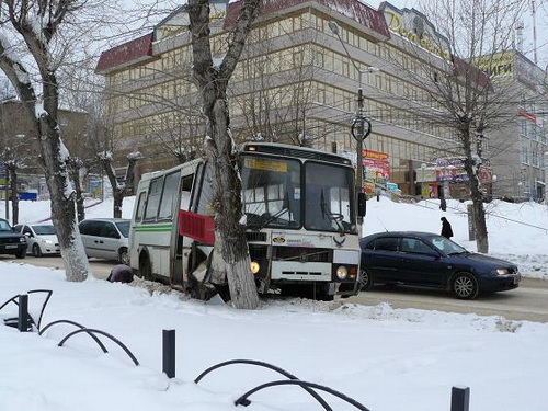 Сыктывкар: Автобус врезался в дерево