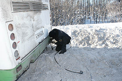 В Сыктывкаре почтовая машина столкнулась с рейсовым автобусом